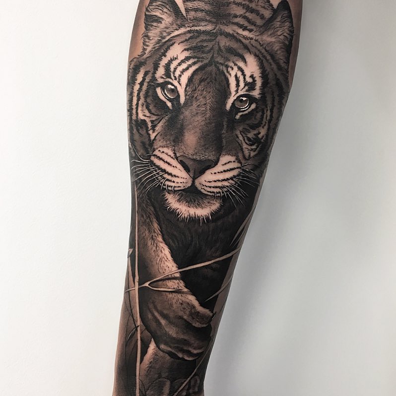 Tatuaż głowa Tygrysa na przedramieniu dla mężczyzn i kobiet