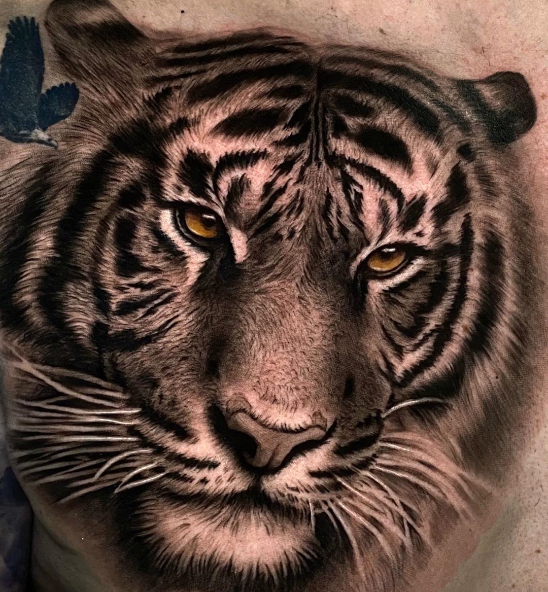 Tatuaż głowa tygrysa z pomarańczowymi oczami na przedramieniu dla mężczyzn i kobiet