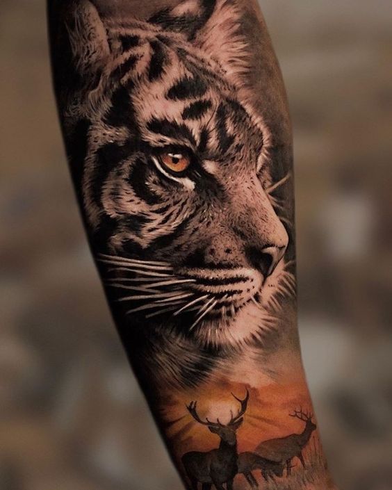 Tatuaż tygrys Afryka na przedramieniu dla mężczyzn i kobiet